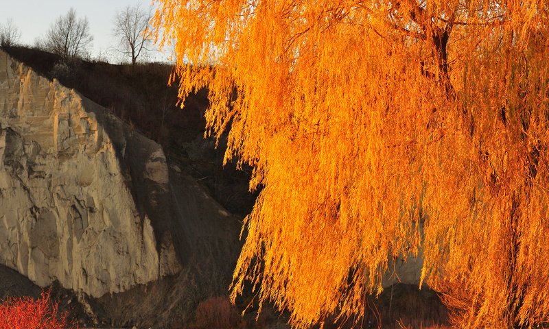 Обои небо, дерево, скала, осень, the sky, tree, rock, autumn разрешение 2048x1360 Загрузить