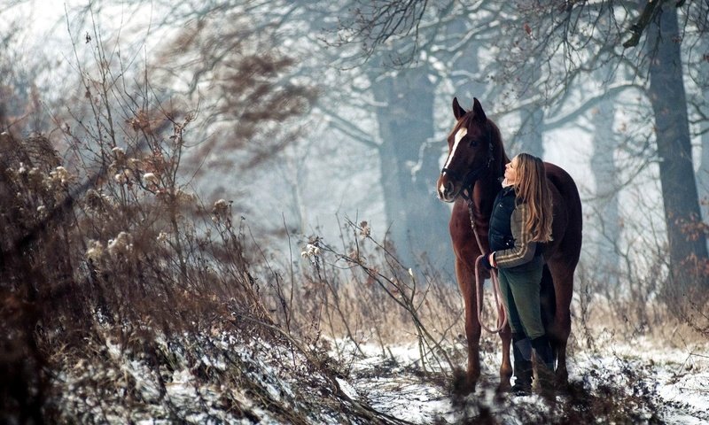 Обои лошадь, деревья, снег, лес, девушка, конь, наездница, horse, trees, snow, forest, girl, rider разрешение 1920x1080 Загрузить