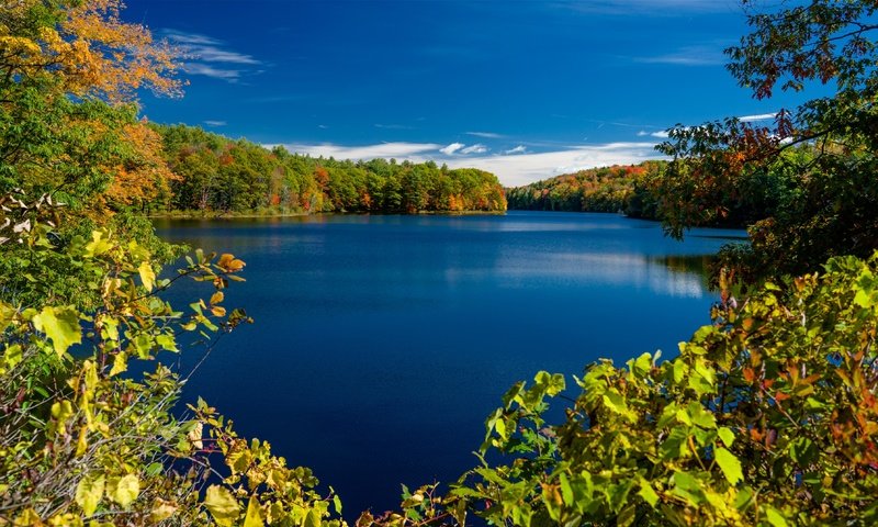 Обои деревья, нью - йорк, озеро, ветки, осень, штат нью-йорк, rockwood lake, adirondack park, озеро роквуд, парк адирондак, trees, new york, lake, branches, autumn, the state of new york, lake rockwood, the adirondack park разрешение 3579x2158 Загрузить