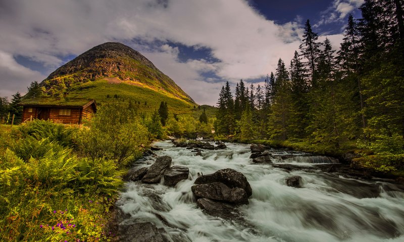 Обои деревья, река, холм, норвегия, хижина, норвегии, trees, river, hill, norway, hut разрешение 2048x1367 Загрузить