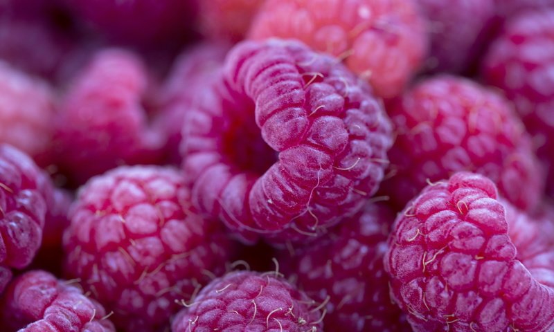 Обои макро, малина, ягоды, macro, raspberry, berries разрешение 2560x1707 Загрузить