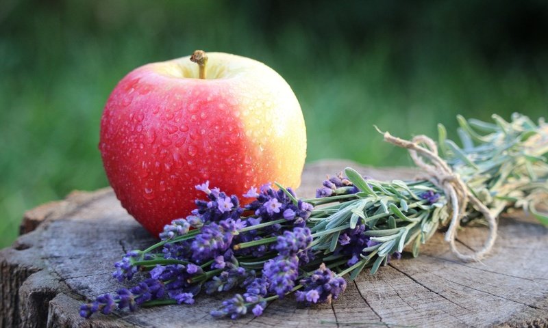 Обои цветы, лаванда, плод, фрукт, яблоко, flowers, lavender, the fruit, fruit, apple разрешение 1920x1238 Загрузить