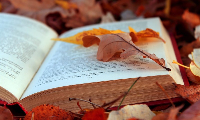 Обои листья, осень, текст, книга, страницы, leaves, autumn, text, book, page разрешение 4608x3072 Загрузить