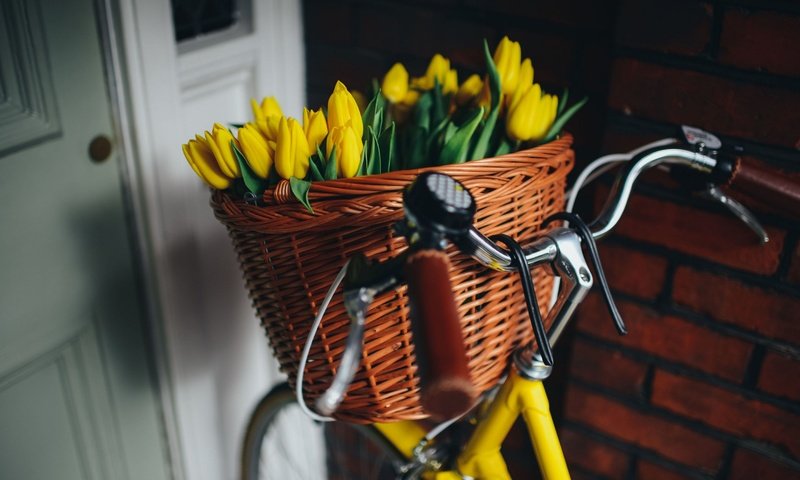 Обои цветы, корзина, тюльпаны, красивые, велосипед, flowers, basket, tulips, beautiful, bike разрешение 2880x1922 Загрузить