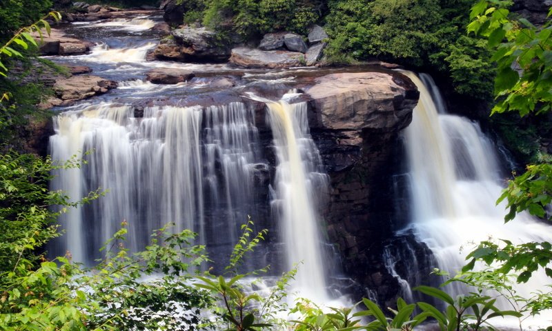 Обои камни, the park is blackwater fall, зелень, листья, ручей, ветки, водопад, сша, blackwater falls state park, парк блэкуотер-фолс, the park is blackwater falls, stones, greens, leaves, stream, branches, waterfall, usa разрешение 2160x1440 Загрузить