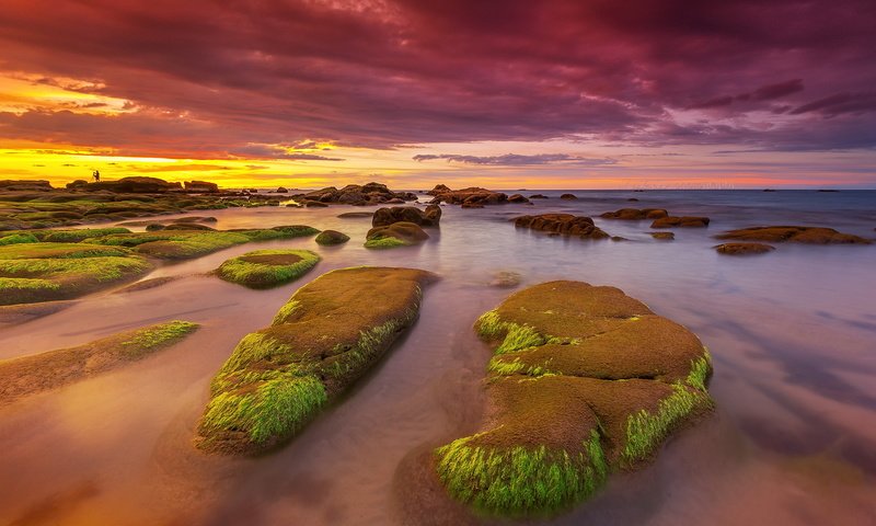 Обои скалы, камни, берег, закат, море, водоросли, rocks, stones, shore, sunset, sea, algae разрешение 2047x1246 Загрузить