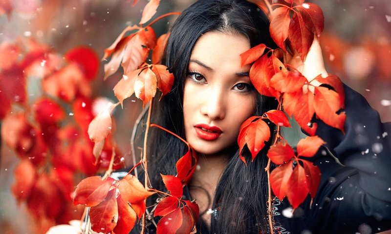 Обои снег, листья, макияж, huan, алессандро ди чикко, snow, leaves, makeup, alessandro di cicco разрешение 2048x1366 Загрузить