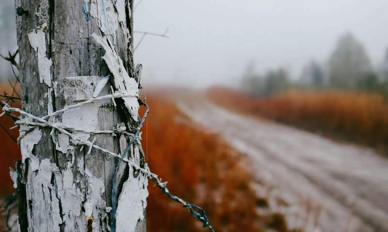 Обои дорога, природа, туман, проволока, забор, колючая проволока, столб, road, nature, fog, wire, the fence, barbed wire, post разрешение 2048x1365 Загрузить