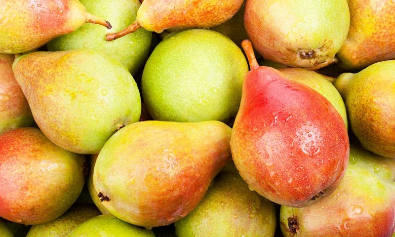 Обои фрукты, плоды, груша, спелые, капли воды, fruit, pear, ripe, water drops разрешение 4212x2808 Загрузить