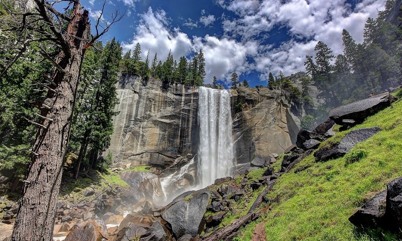 Обои деревья, скалы, пейзаж, водопад, йосемитский национальный парк, trees, rocks, landscape, waterfall, yosemite national park разрешение 2880x1901 Загрузить