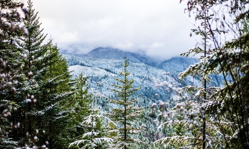 Обои горы, снег, зима, пейзаж, туман, mountains, snow, winter, landscape, fog разрешение 2000x1335 Загрузить