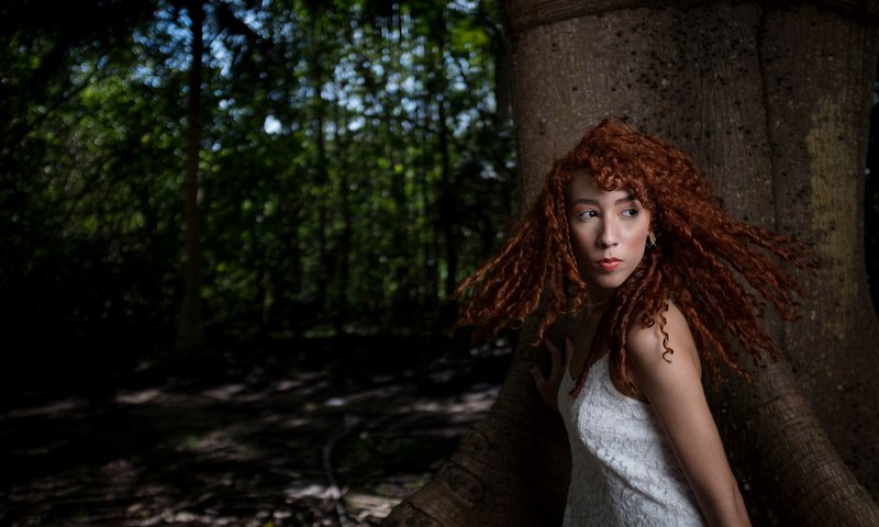 Обои природа, дерево, девушка, рыжеволосая, nature, tree, girl, redhead разрешение 4896x3264 Загрузить