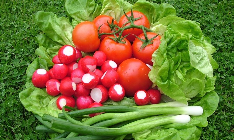 Обои лук, овощи, помидоры, салат, редис, bow, vegetables, tomatoes, salad, radishes разрешение 1920x1265 Загрузить