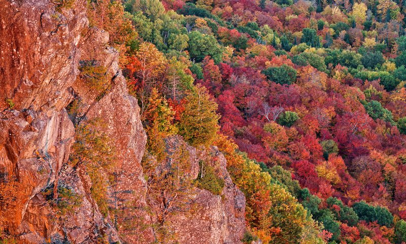 Обои деревья, скалы, лес, осень, сша, багрянец, мичиган, чиппева, trees, rocks, forest, autumn, usa, the crimson, michigan, chippewa разрешение 2048x1365 Загрузить