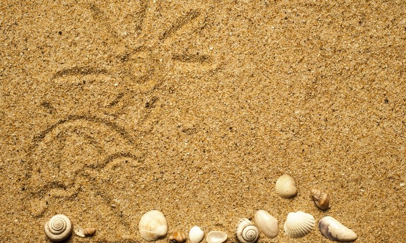 Обои рисунок, солнце, текстура, песок, пляж, ракушки, figure, the sun, texture, sand, beach, shell разрешение 4937x3552 Загрузить