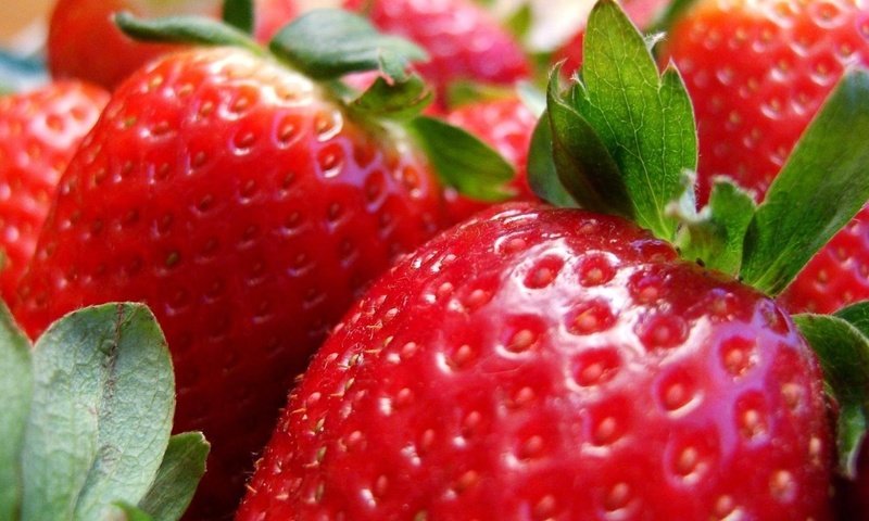 Обои ягода, еда, клубника, berry, food, strawberry разрешение 1920x1080 Загрузить