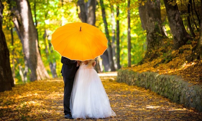 Обои зонтик, жених, невеста, композиция, umbrella, the groom, the bride, composition разрешение 2560x1600 Загрузить