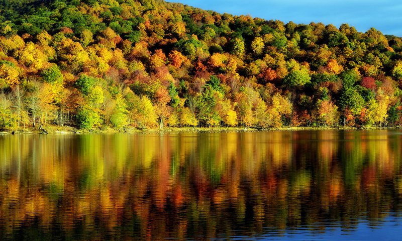 Обои деревья, вода, отражение, осень, красота, пейзаж. природа, время года, trees, water, reflection, autumn, beauty, landscape. nature, time of the year разрешение 2048x1356 Загрузить