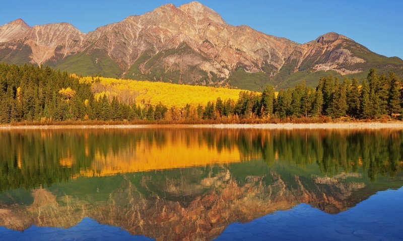 Обои озеро, рatricia lake, canadia, горы, берег, лес, отражение, осень, канада, национальный парк банф, lake, mountains, shore, forest, reflection, autumn, canada, banff national park разрешение 1920x1280 Загрузить