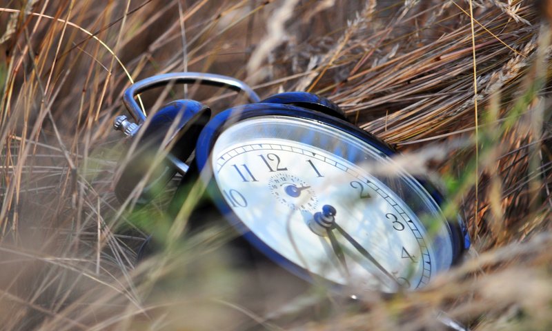 Обои трава, часы, время, grass, watch, time разрешение 2048x1360 Загрузить