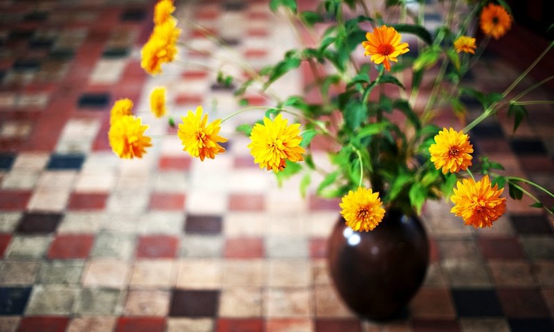 Обои цветы, лепестки, ваза, желтые, flowers, petals, vase, yellow разрешение 2048x1363 Загрузить