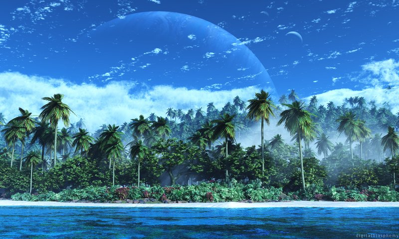Обои природа, пальмы, рендеринг, остров, 3д, цифровая, атолл, nature, palm trees, rendering, island, 3d, digital, atoll разрешение 2880x1800 Загрузить