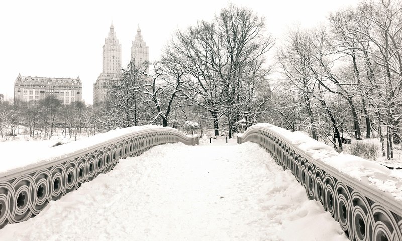 Обои снег, зима, мост, чёрно-белое, нью йорк, центральный парк, snow, winter, bridge, black and white, new york, central park разрешение 1920x1200 Загрузить