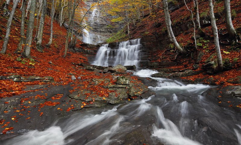 Обои река, природа, лес, водопад, осень, river, nature, forest, waterfall, autumn разрешение 1998x1334 Загрузить