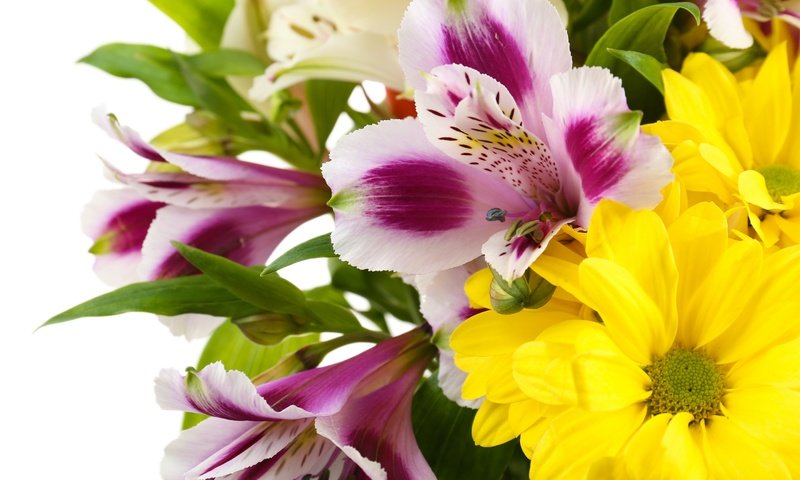 Обои цветы, букет, хризантемы, альстромерия, flowers, bouquet, chrysanthemum, alstroemeria разрешение 2880x2304 Загрузить