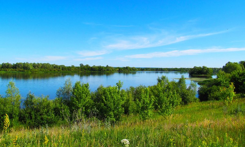 Обои небо, деревья, река, сура, берег реки, the sky, trees, river, sur, the river разрешение 2560x1600 Загрузить