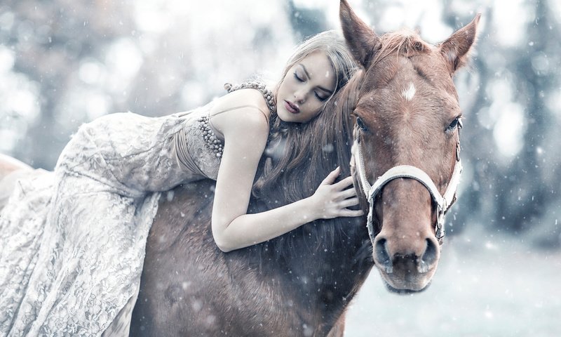 Обои лошадь, снег, девушка, сон, queen maud, алессандро ди чикко, horse, snow, girl, sleep, alessandro di cicco разрешение 2048x1365 Загрузить