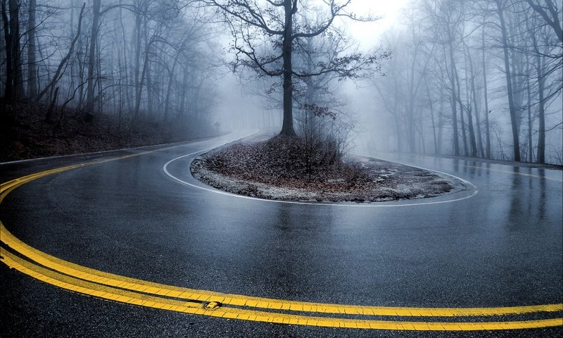 Обои дорога, деревья, туман, осень, поворот, road, trees, fog, autumn, turn разрешение 2880x1804 Загрузить