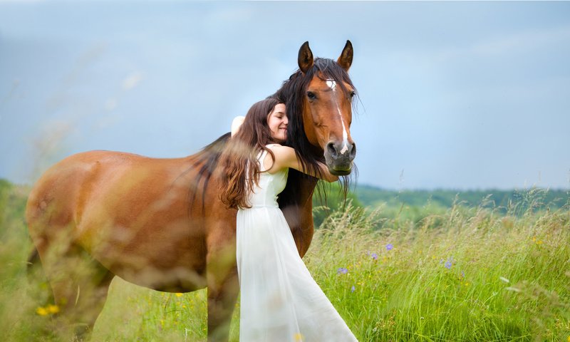 Обои природа, девушка, конь, nature, girl, horse разрешение 2048x1211 Загрузить