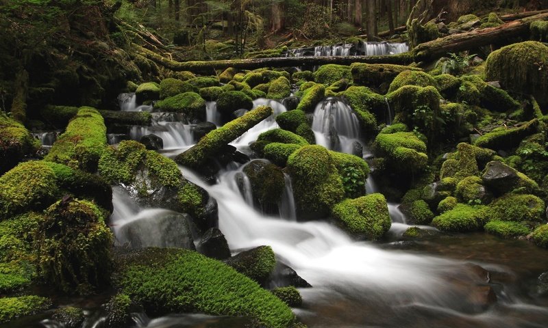 Обои вода, река, камни, зелень, лес, мох, water, river, stones, greens, forest, moss разрешение 2048x1365 Загрузить