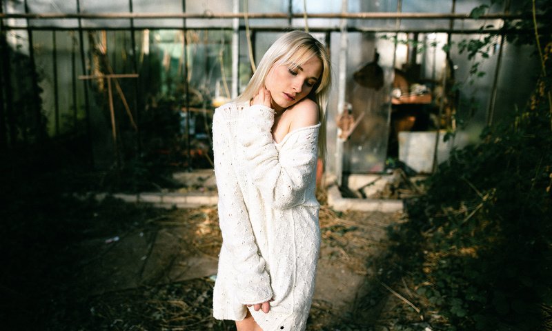 Обои девушка, свитер, let go, теплица, girl, sweater, greenhouse разрешение 2000x1335 Загрузить