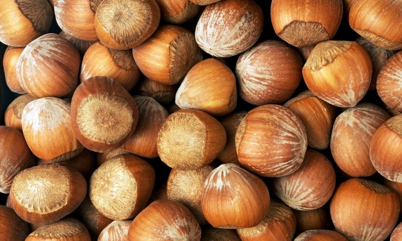 Обои орехи, еда, плоды, фундук, лесной орех, nuts, food, fruit, hazelnuts, hazelnut разрешение 1920x1200 Загрузить