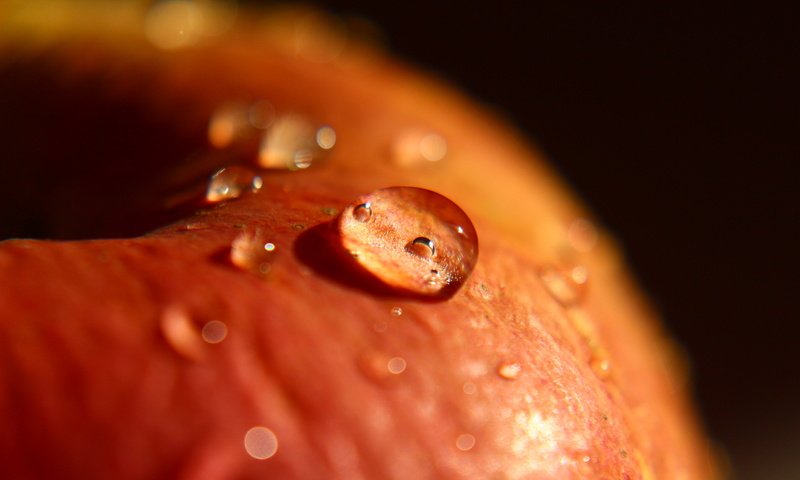 Обои макро, капля, фрукты, яблоко, macro, drop, fruit, apple разрешение 1920x1280 Загрузить