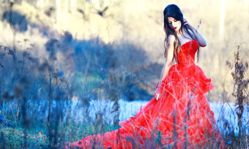 Обои природа, платье, брюнетка, красное, nature, dress, brunette, red разрешение 1920x1280 Загрузить