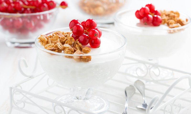 Обои десерт, смородина, панна-кота, гранолла, dessert, currants, panna cotta, granola разрешение 2048x1367 Загрузить