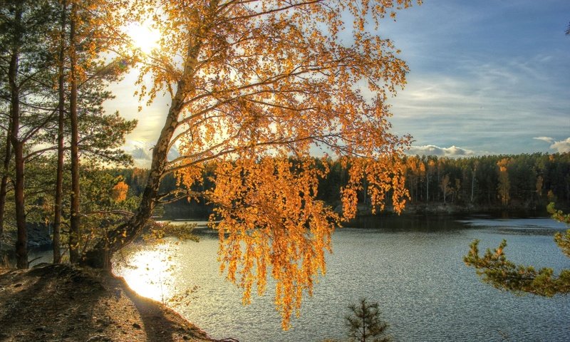 Обои свет, река, солнце, осень, береза, light, river, the sun, autumn, birch разрешение 2200x1450 Загрузить