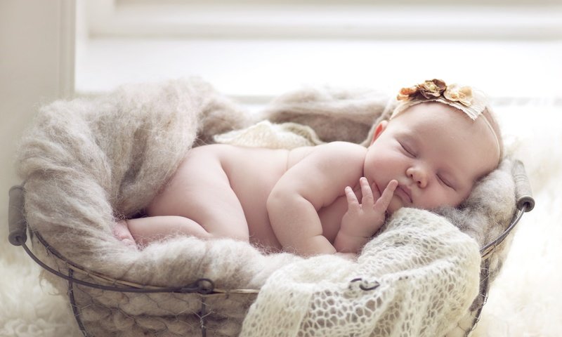 Обои сон, девочка, корзина, младенец, sleep, girl, basket, baby разрешение 2400x1553 Загрузить