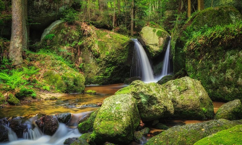 Обои вода, река, камни, лес, водопад, мох, water, river, stones, forest, waterfall, moss разрешение 3000x2000 Загрузить