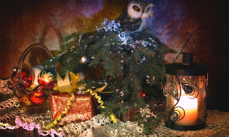 Обои сова, подарки, фонарь, ель, игрушки, owl, gifts, lantern, spruce, toys разрешение 1920x1297 Загрузить