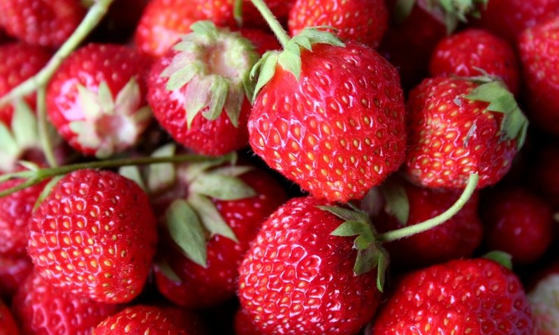 Обои красная, клубника, ягоды, red, strawberry, berries разрешение 2048x1365 Загрузить