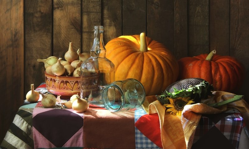 Обои лук, бутылка, тыква, натюрморт, семечки, bow, bottle, pumpkin, still life, seeds разрешение 2400x1529 Загрузить