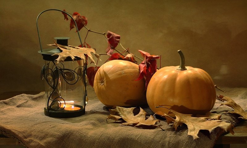 Обои листья, осень, фонарь, тыква, leaves, autumn, lantern, pumpkin разрешение 2000x1306 Загрузить