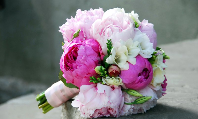 Обои букет, пионы, фрезии, фрезия, bouquet, peonies, freesia разрешение 2400x1607 Загрузить