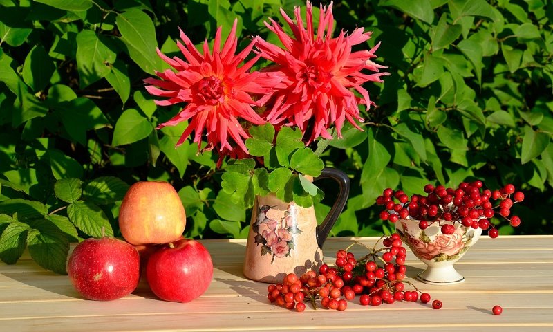 Обои красный, яблоко, натюрморт, калина, георгины, red, apple, still life, kalina, dahlias разрешение 2800x1855 Загрузить