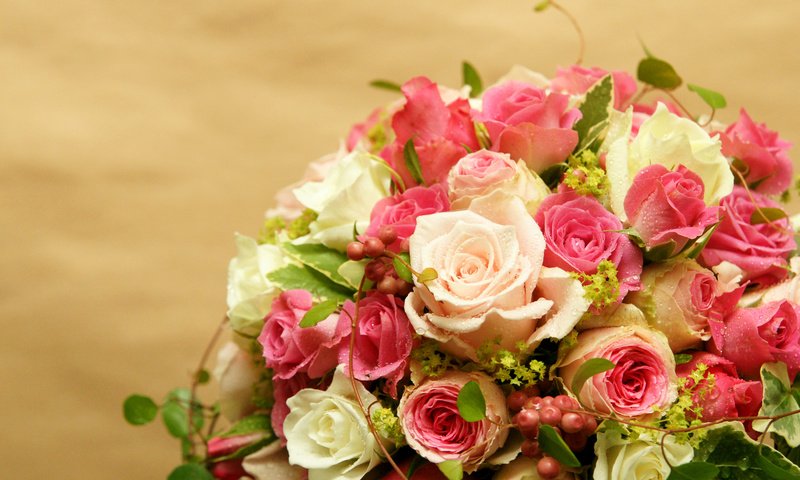 Обои капли, розы, букет, роз, букеты, drops, roses, bouquet, bouquets разрешение 3000x2000 Загрузить