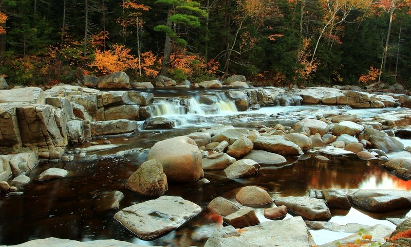 Обои деревья, вода, река, камни, осень, поток, деревь, осен, каменное, trees, water, river, stones, autumn, stream, stone разрешение 2880x1920 Загрузить